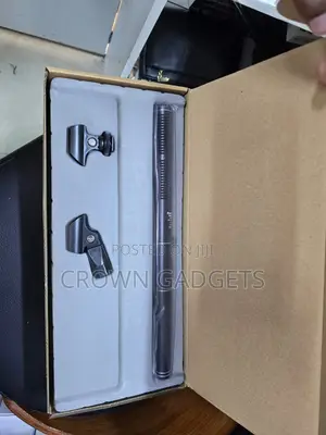 High-Sensitivity Panasonic Super Uni-Directional Mic for Recording