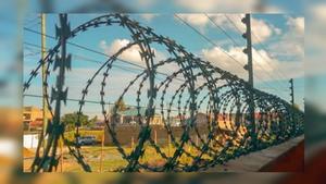 Sharp Green Coated Razor Wire - main view