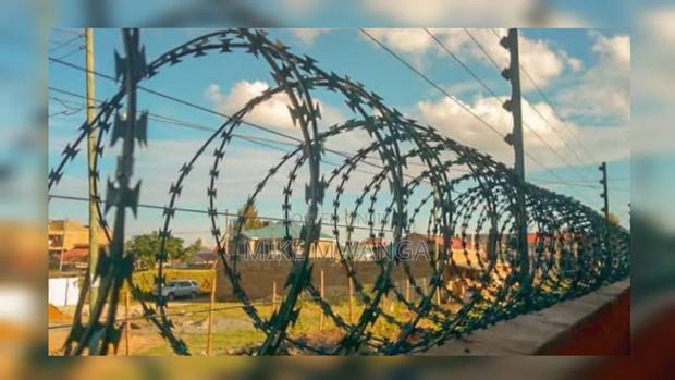 Sharp Green Coated Razor Wire