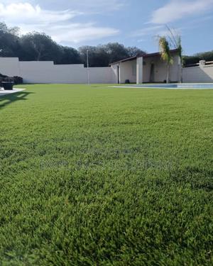 Effortless Beauty Artificial Grass - thumbnail 2