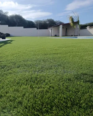 Effortless Beauty Artificial Grass