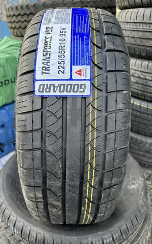225/55r16 Goddard