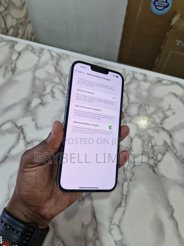 Apple iPhone 13 Pro Max 256 GB Blue - thumbnail 10