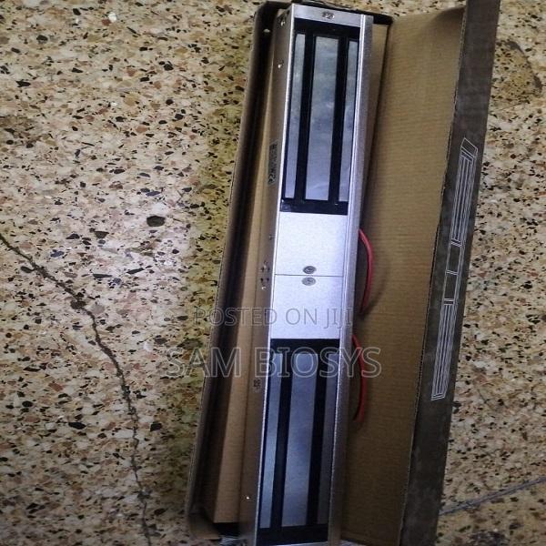 Double Magnetic Lock. - main view