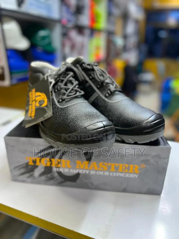 Safe Boot Tiger 🐅 Master - main view