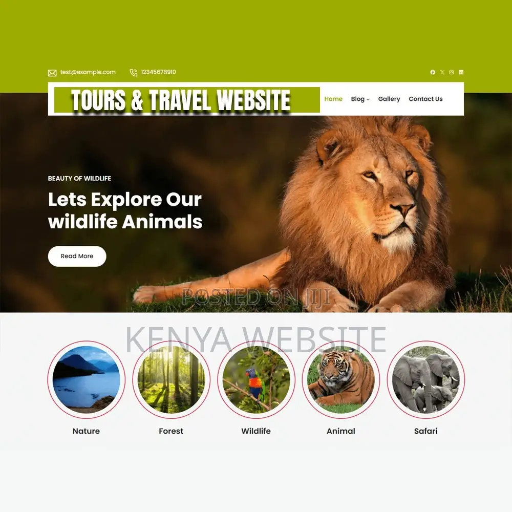 Tours and Travel Website Design (Safari Web Design)