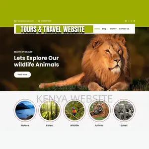 Tours and Travel Website Design (Safari Web Design)