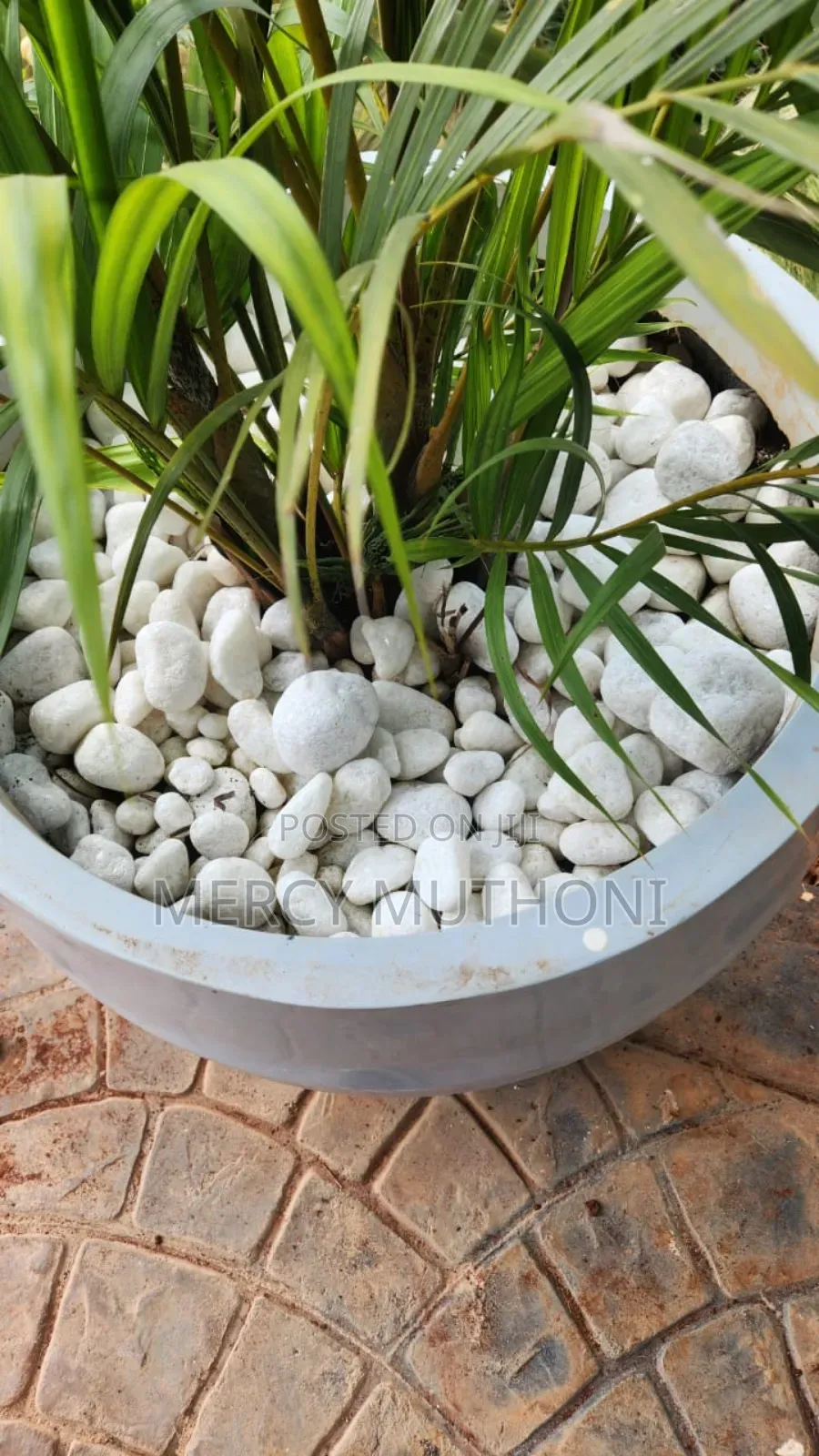 River Stones and Pebbles