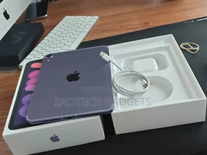 Apple iPad mini (2021) 256 GB Gray