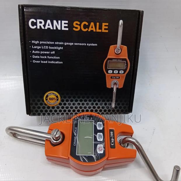 300kgs Crane Scale) Affordable Weighing Crane Scale - main view