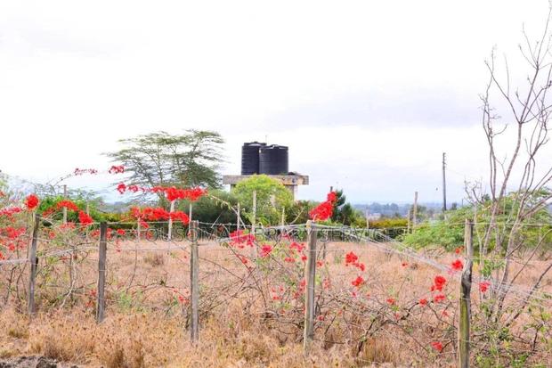 Naisula 2 Half Acre Plots In
A Gated Community in Kisaju - thumbnail 2