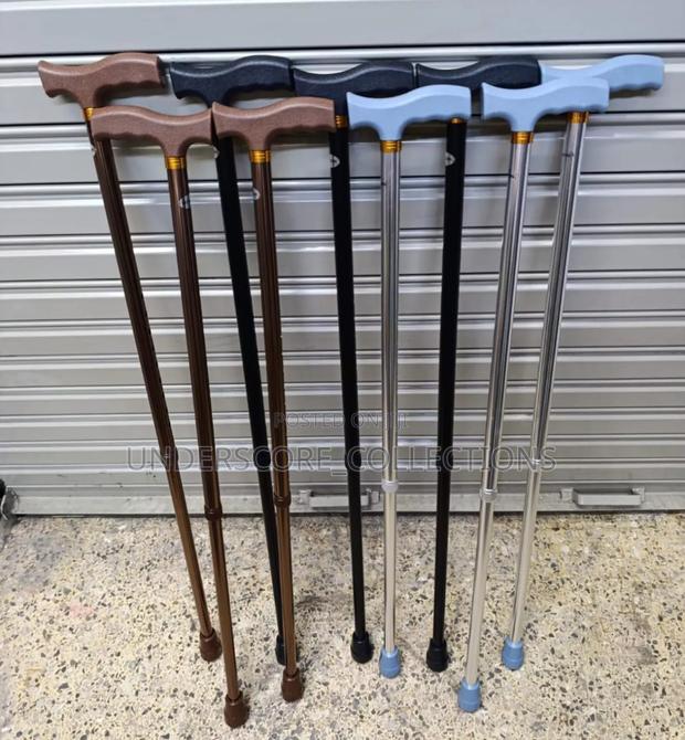 Adjustable Walking Sticks - main view