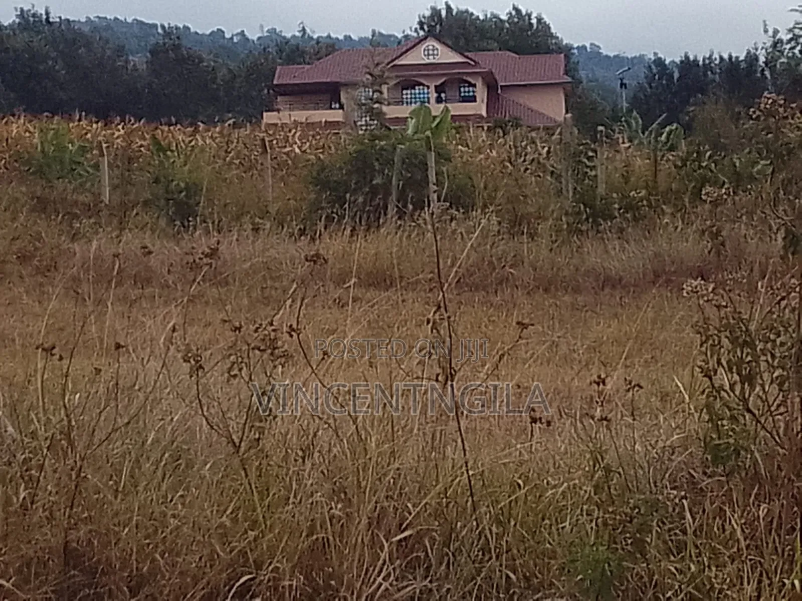Mua Hills 10 Acres