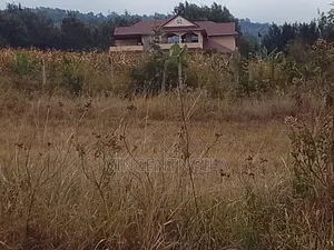 Mua Hills 10 Acres
