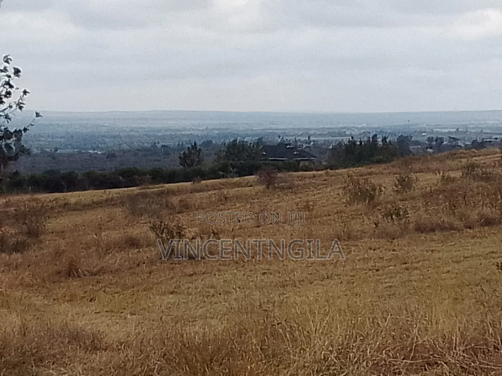 Mua Hills 10 Acres
