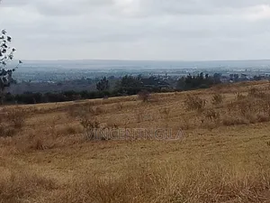 Mua Hills 10 Acres
