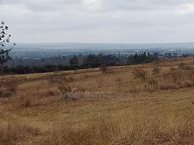 Mua Hills 10 Acres - thumbnail 2