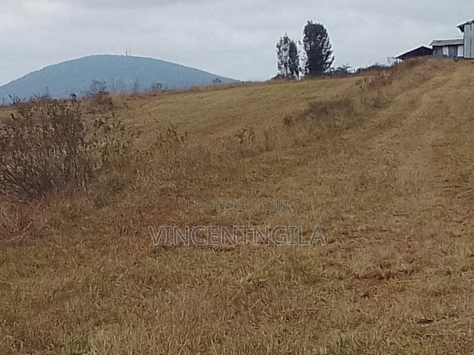 Mua Hills 10 Acres