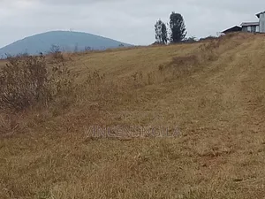 Mua Hills 10 Acres