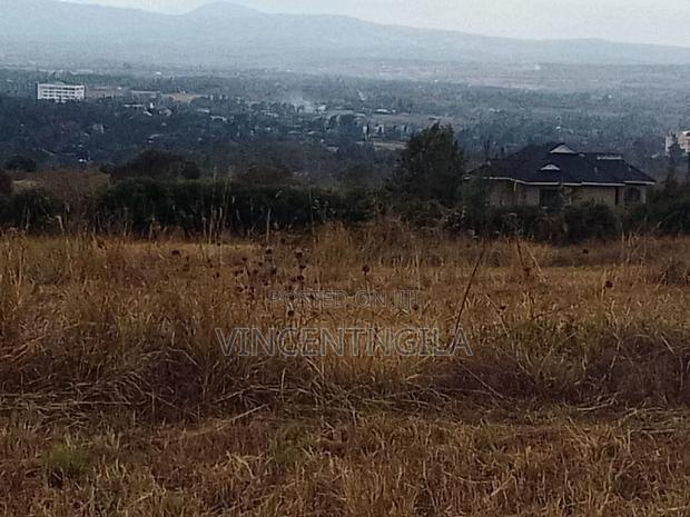 Mua Hills 10 Acres - thumbnail 4