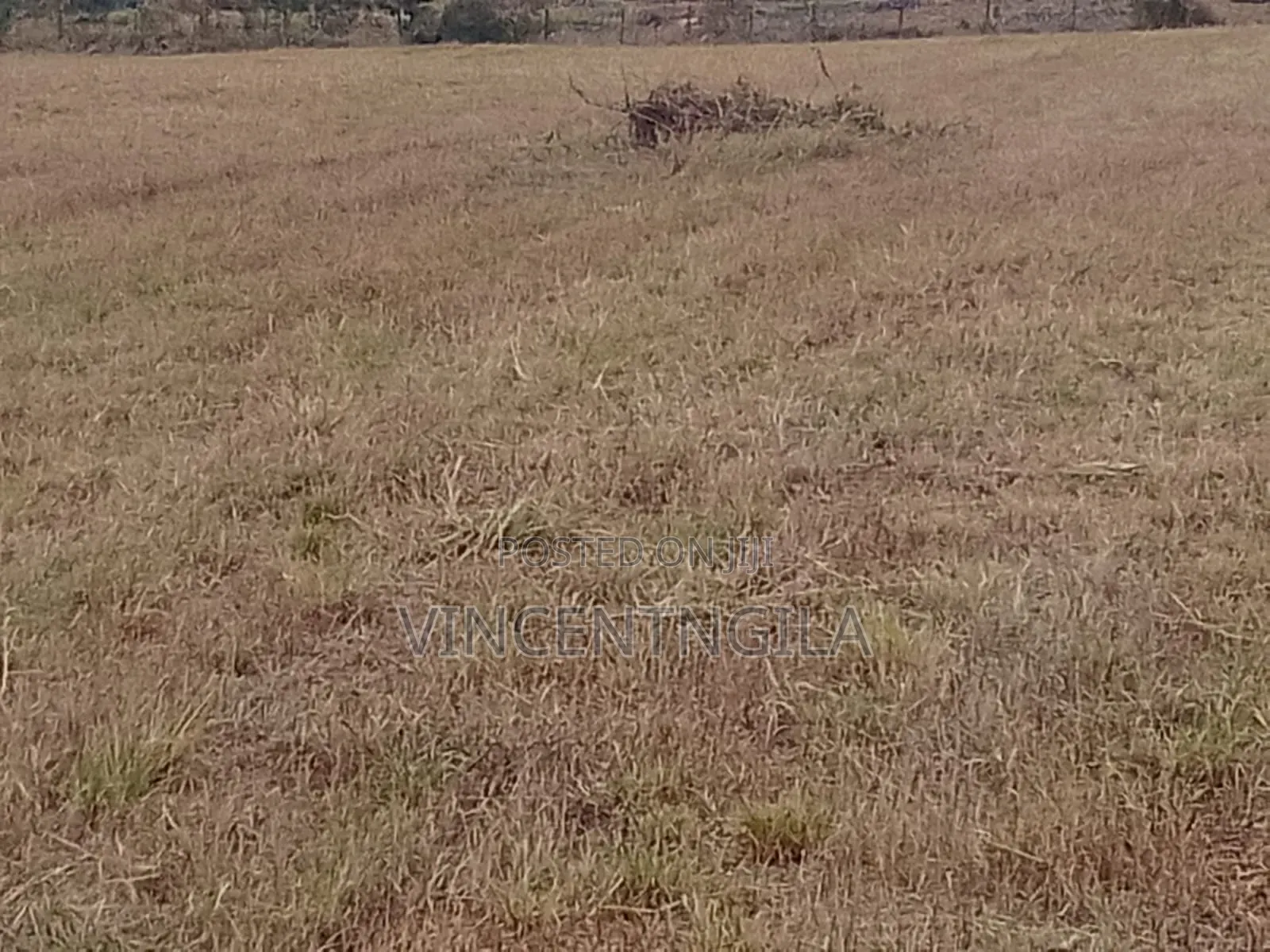 Mua Hills 10 Acres