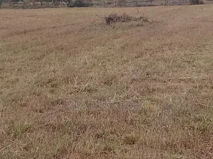 Mua Hills 10 Acres