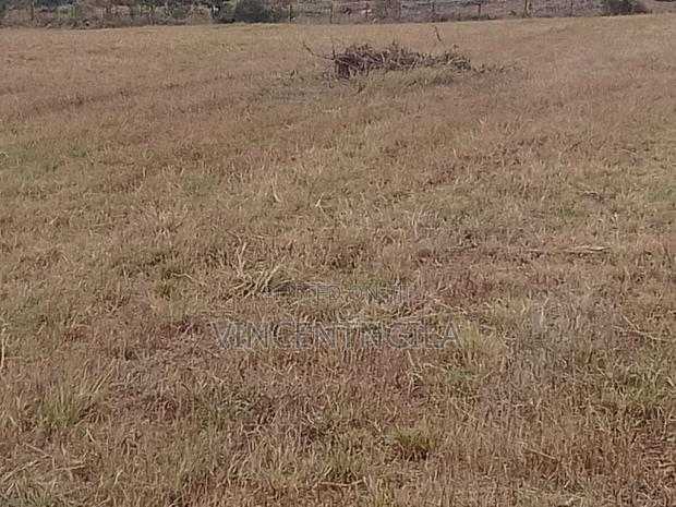 Mua Hills 10 Acres - thumbnail 5