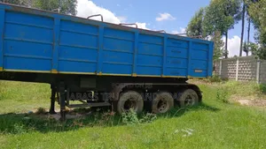 Tiber Tatela Buchu Zf Sevi 2m Comichin Need Location Nairobi Abass