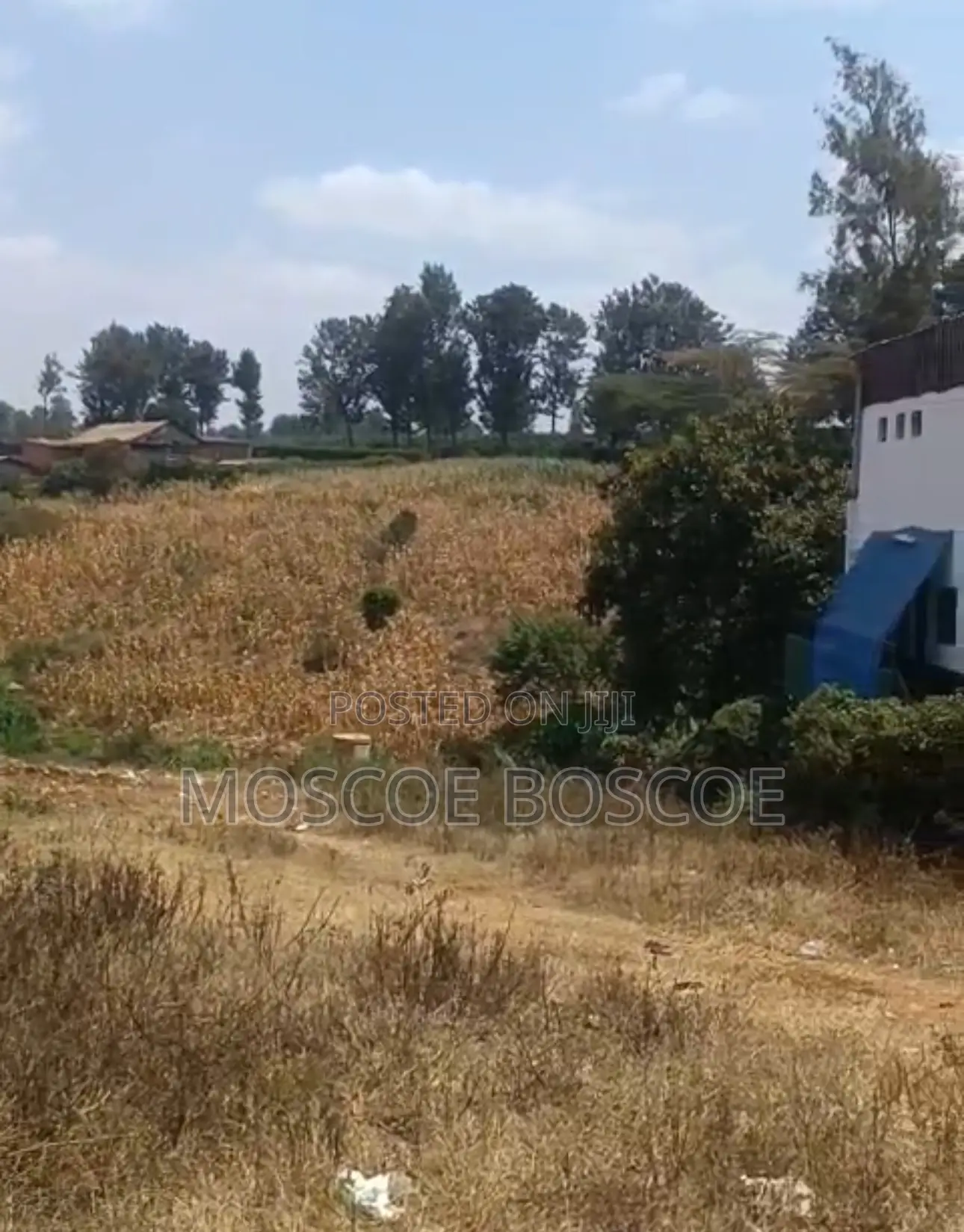 Marurui Plot for Sale