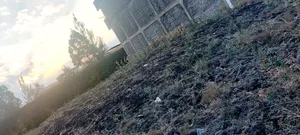 Hot Deal! Mega Price Drop!! A Plot Just 50m Off Kangundo Rd in Malaa.