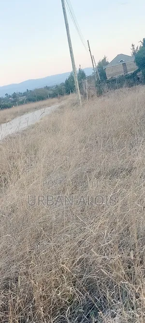 Hot Deal! Mega Price Drop!! A Plot Just 50m Off Kangundo Rd in Malaa.