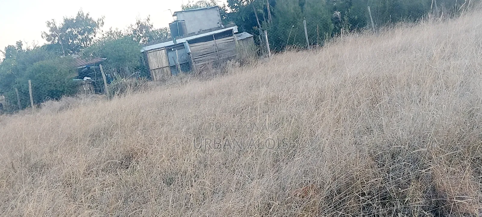 Hot Deal! Mega Price Drop!! A Plot Just 50m Off Kangundo Rd in Malaa.