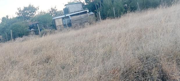 Hot Deal! Mega Price Drop!! A Plot Just 50m Off Kangundo Rd in Malaa. - thumbnail 8