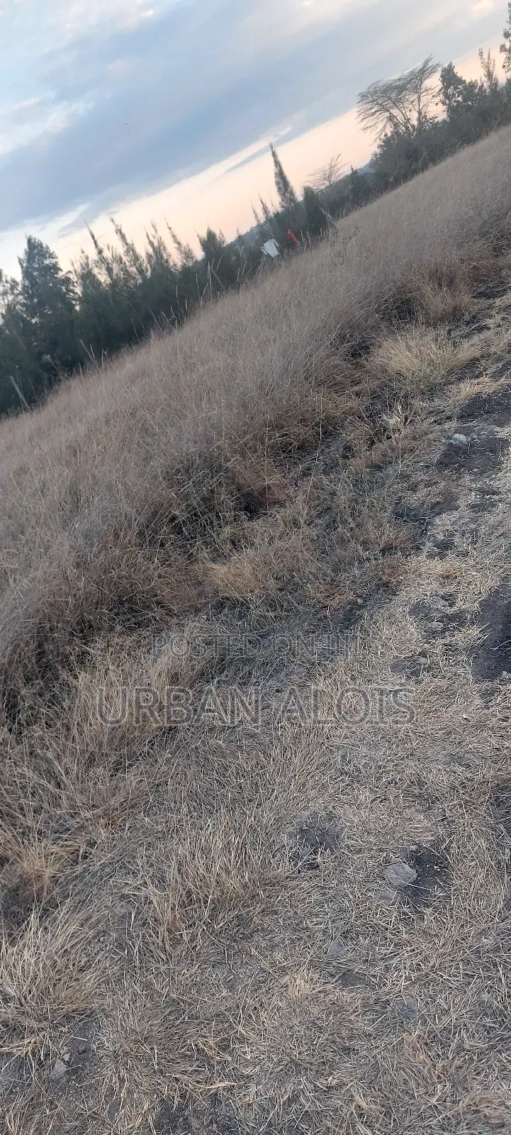 Hot Deal! Mega Price Drop!! A Plot Just 50m Off Kangundo Rd in Malaa.