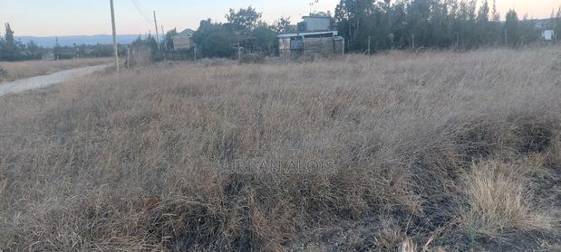 Hot Deal! Mega Price Drop!! A Plot Just 50m Off Kangundo Rd in Malaa. - thumbnail 12