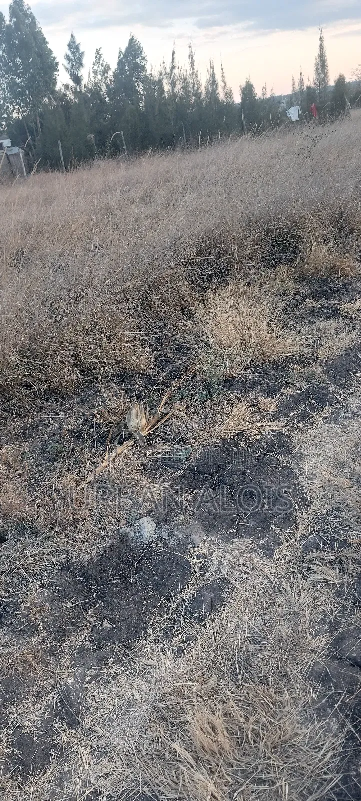 Hot Deal! Mega Price Drop!! A Plot Just 50m Off Kangundo Rd in Malaa.