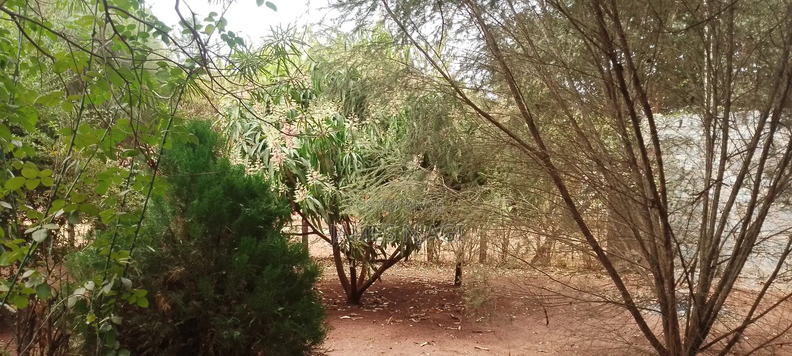 4bdrm Bungalow in Gathigiriri for sale