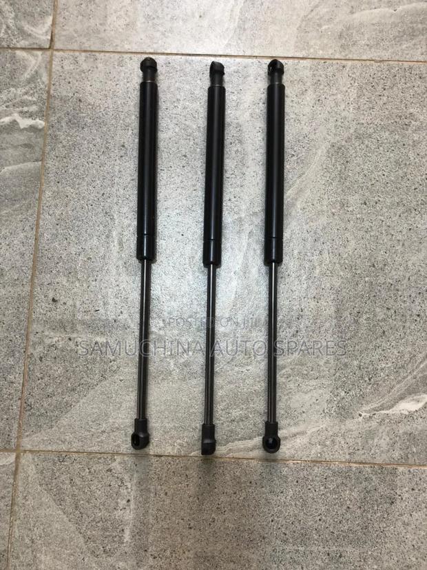 Bonnet Shock Nissan Murano