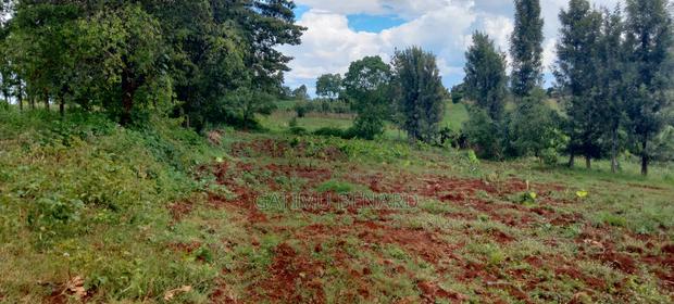 Half Acre (0.20ha) For Sale In Kirinyaga Mwea Nyangati