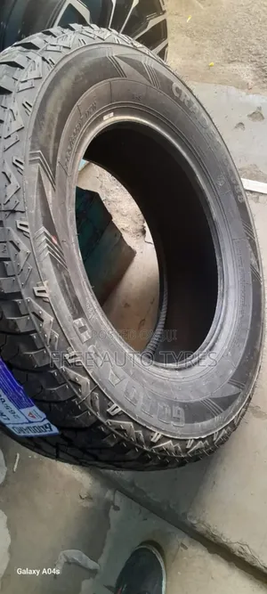 265/65r17 Goddard