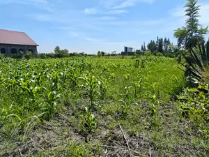 Plot of Sale. Kamulu-Embakasi Ranching Block 136