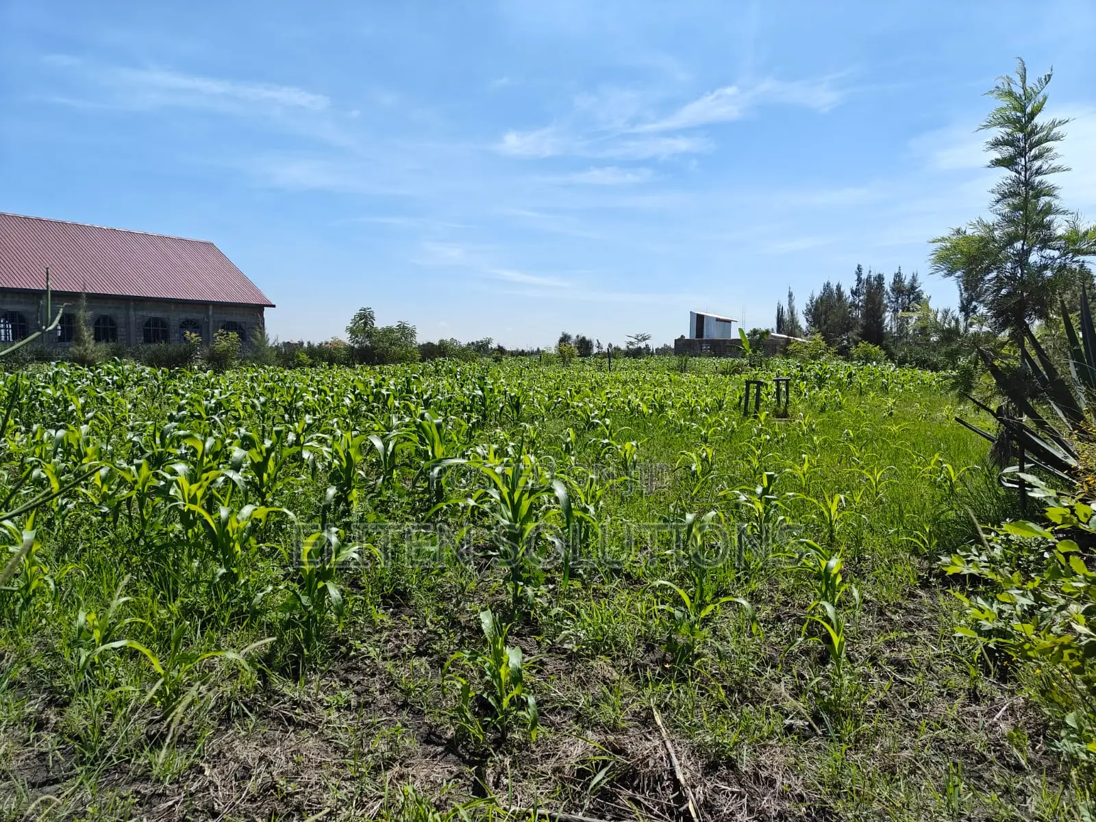 Plot of Sale. Kamulu-Embakasi Ranching Block 136