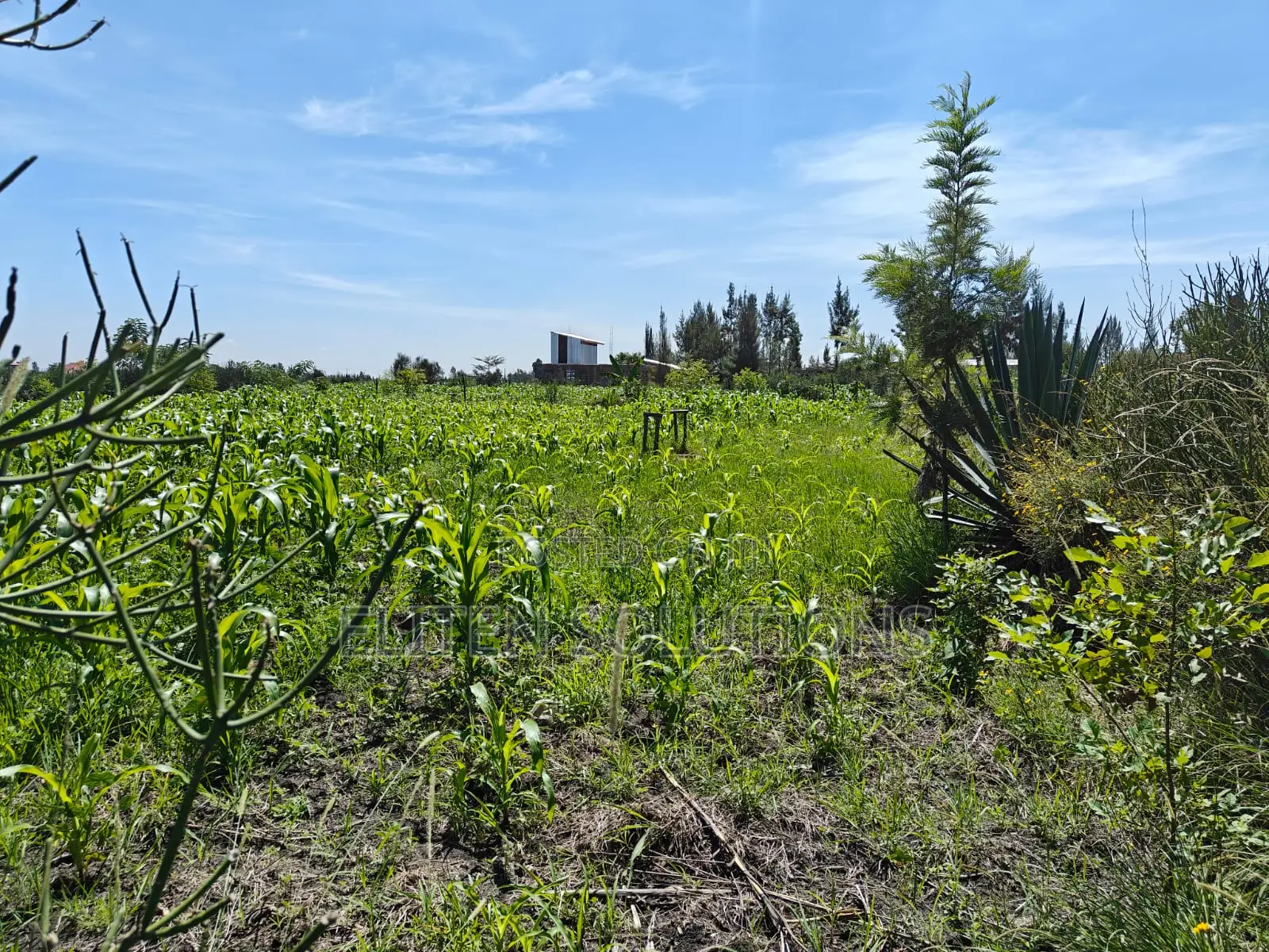Plot of Sale. Kamulu-Embakasi Ranching Block 136