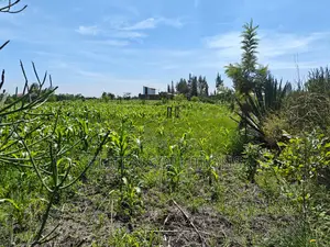 Plot of Sale. Kamulu-Embakasi Ranching Block 136