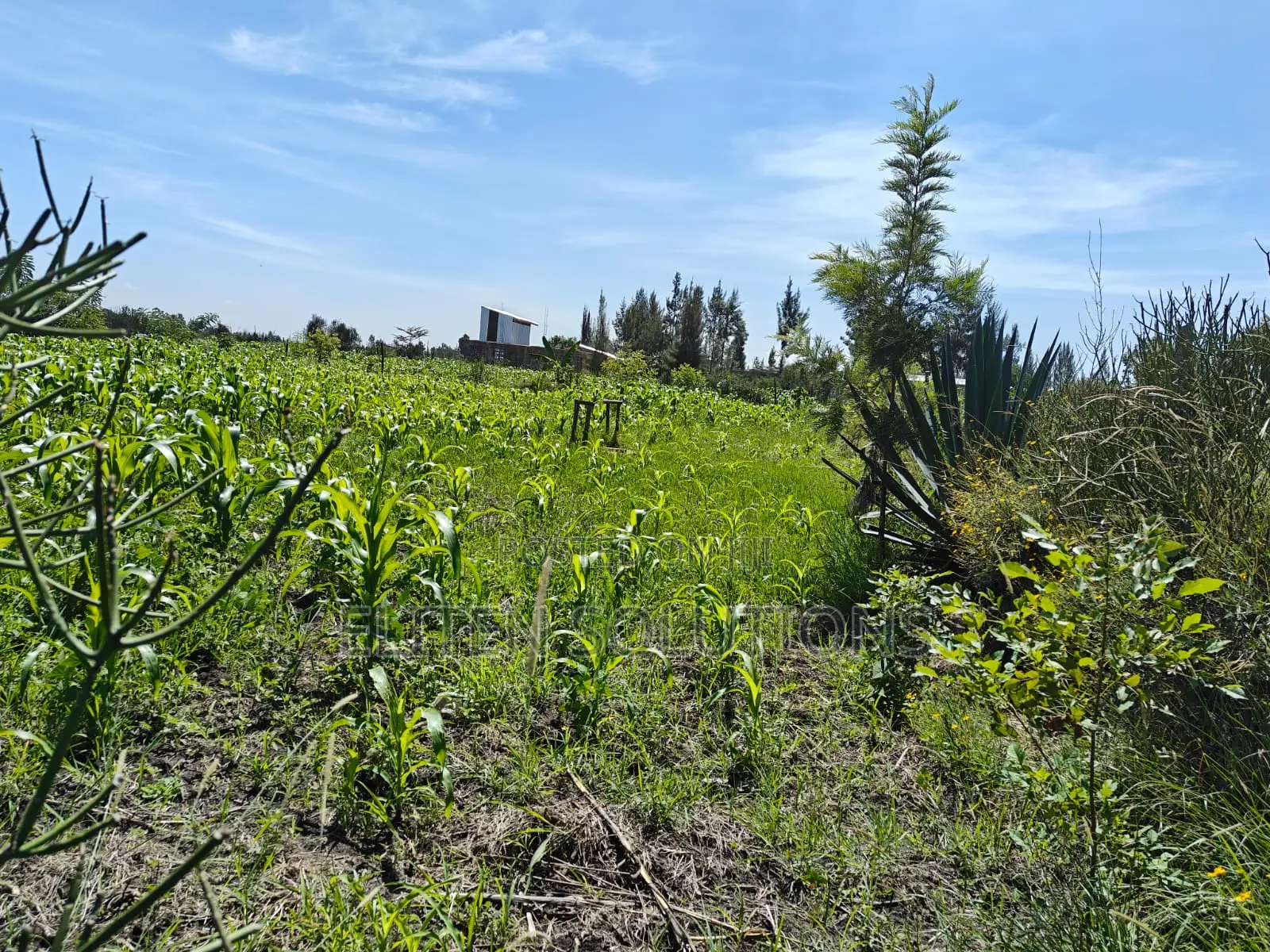 Plot of Sale. Kamulu-Embakasi Ranching Block 136