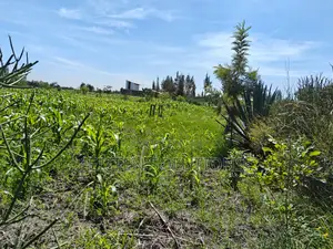 Plot of Sale. Kamulu-Embakasi Ranching Block 136
