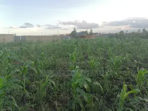 Plot of Sale. Kamulu-Embakasi Ranching Block 136
