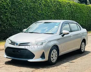 Toyota Axio 2018 Silver
