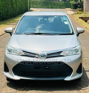 Toyota Axio 2018 Silver