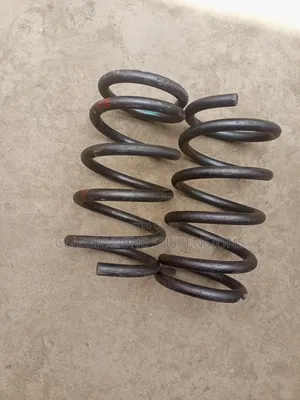 Toyota Ipsum Back Coilspring